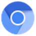 Google Chromium V100.0.4891.0 ٷ